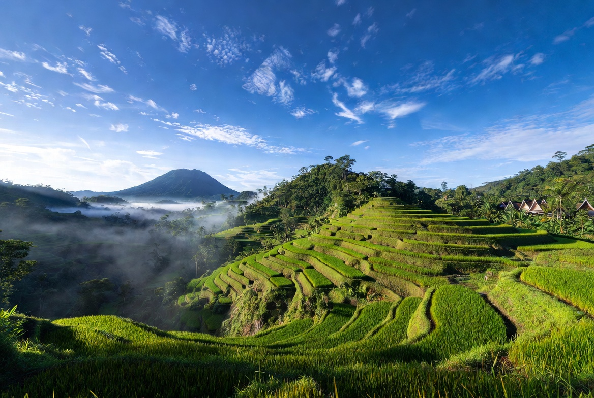 Sawah Terasering Toraja: Tangga ke Langit yang Dibuat Tangan Manusia